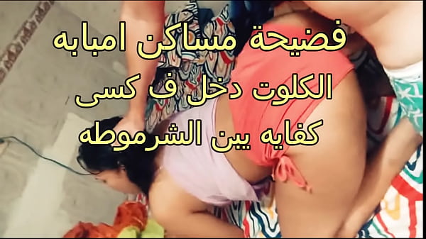 فضيحة جنسية مثيرة في مساكن إمبابة: كلوتي دخل فرجي يا ابن العاهرة
