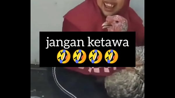 Gadis Gendut Ngakak Sambil Gelinjangin Nafsu Bejat.